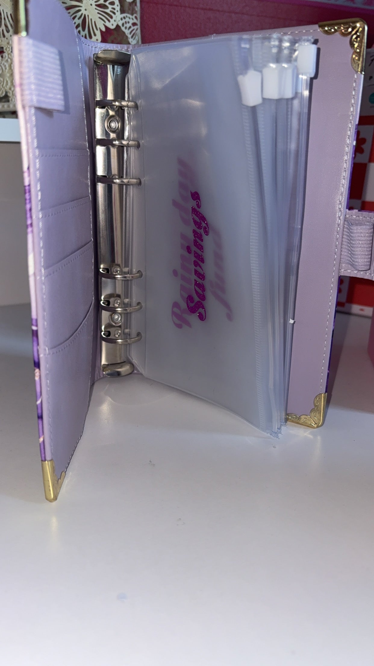 Saving Binder-In my saving era