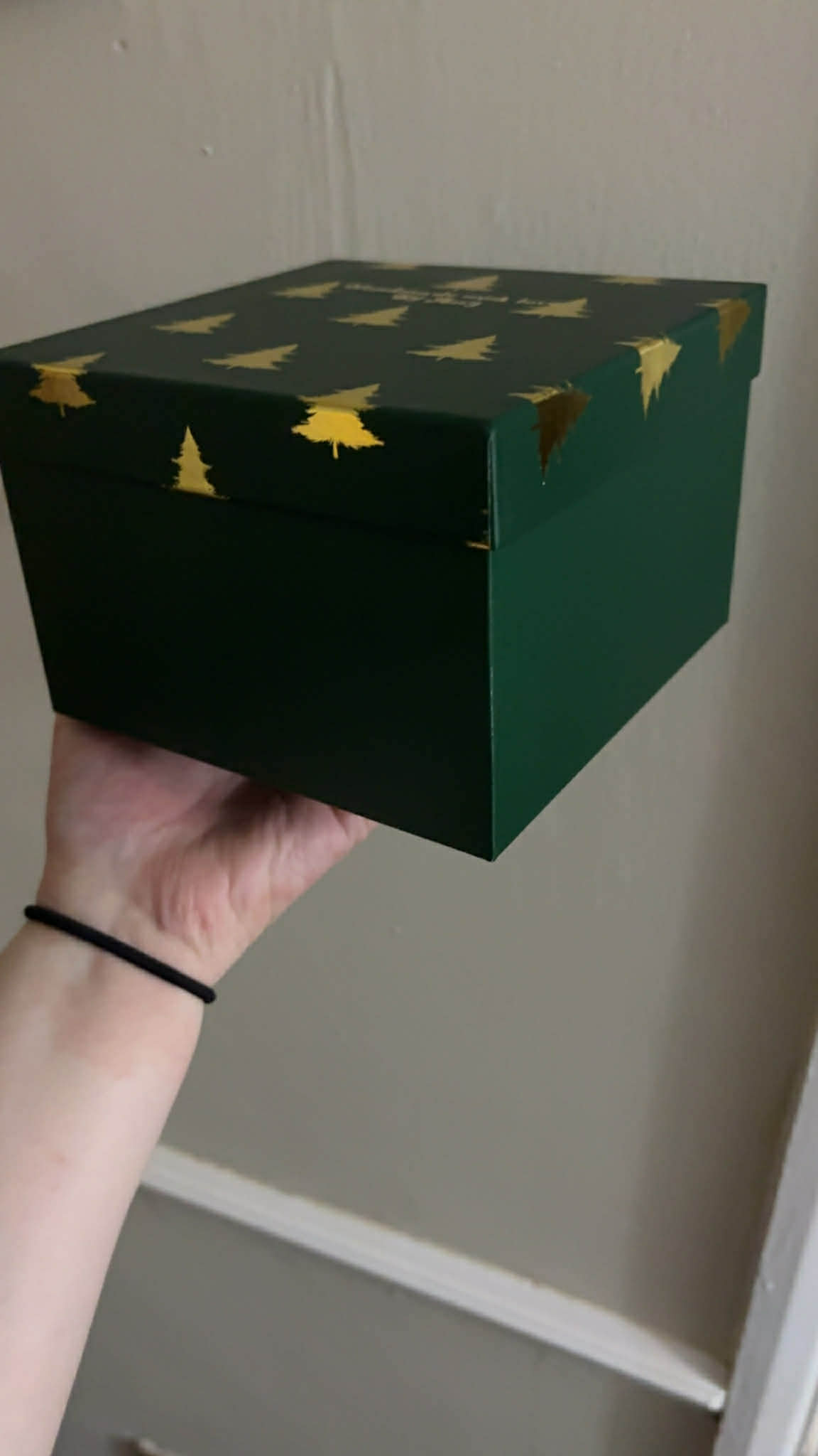 Feathered christmas memory baubles￼